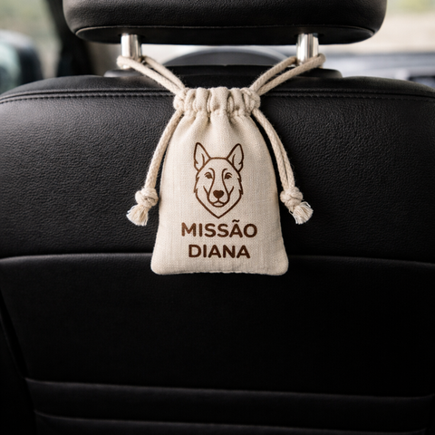 Air Freshener & Dehumifier