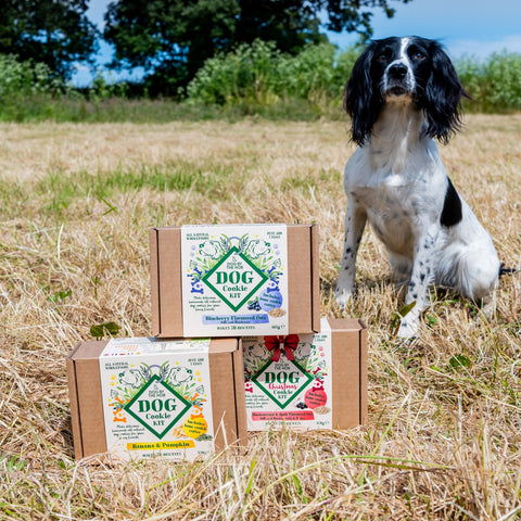 Dog Cookie Making Kit (Dog By The Hob)